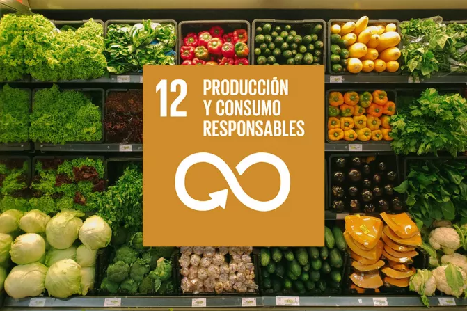 ODS 12. Producción y consumo responsables Thumbnail