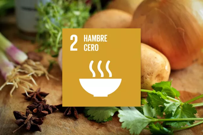 ODS 2. Hambre cero Thumbnail