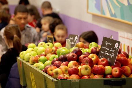 serunion-educa-gastronomia-carro-manzanas