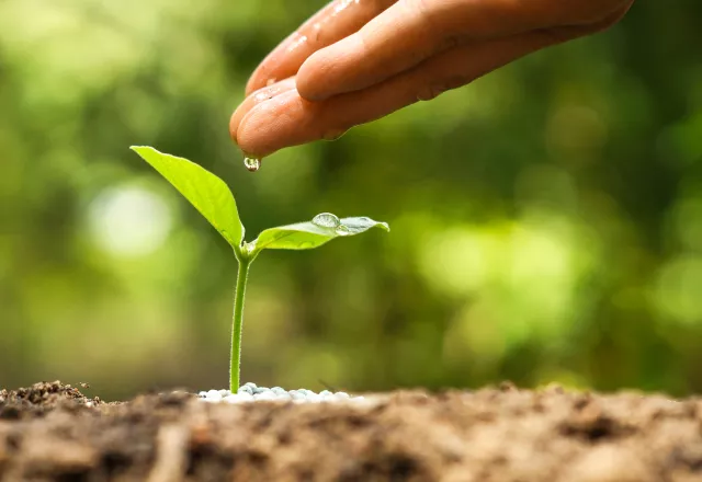 serunion-nosotros-compromiso-calidad-innovacion-medioambiente